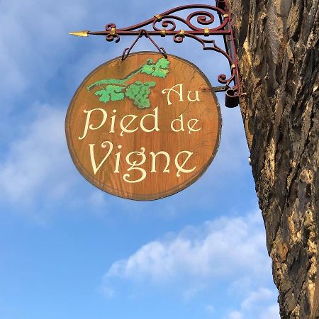 Appart Hotel Au Pied De Vigne Vresse-sur-Semois Bagian luar foto